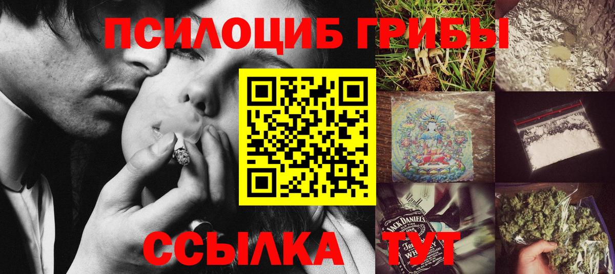 Алушта  Псилоцибиновые грибы прущие грибы  Вход с VPN  Галлюциногенные грибы Psilocybe 
